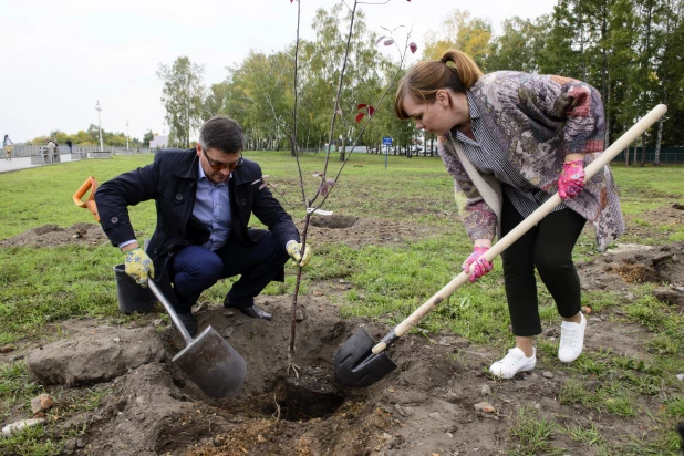 Депутаты БГД высаживают яблони в Нагорном парке. 