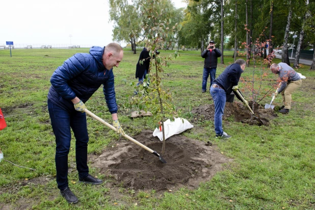 Депутаты БГД высаживают яблони в Нагорном парке. 