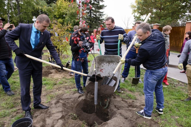 Депутаты БГД высаживают яблони в Нагорном парке. 