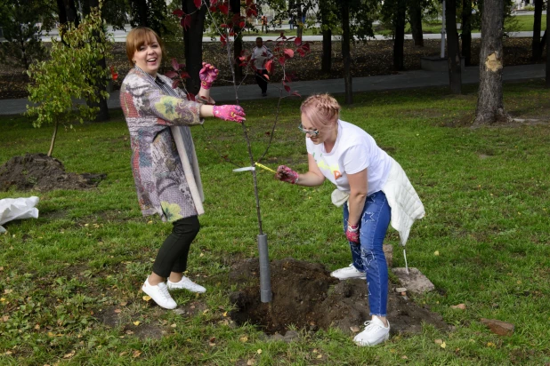 Депутаты БГД высаживают яблони в Нагорном парке. 