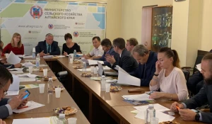 Вторая рабочая встреча.