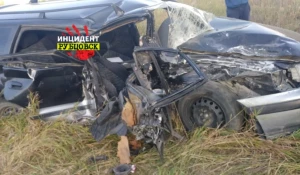 ДТП на змеиногорской трассе.