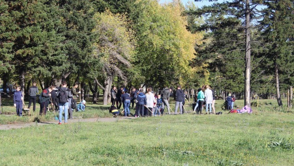 Субботник в парке Победы.