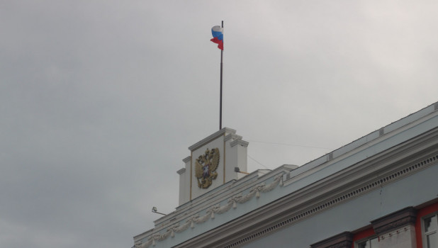 Правительство Алтайского края, флаг.