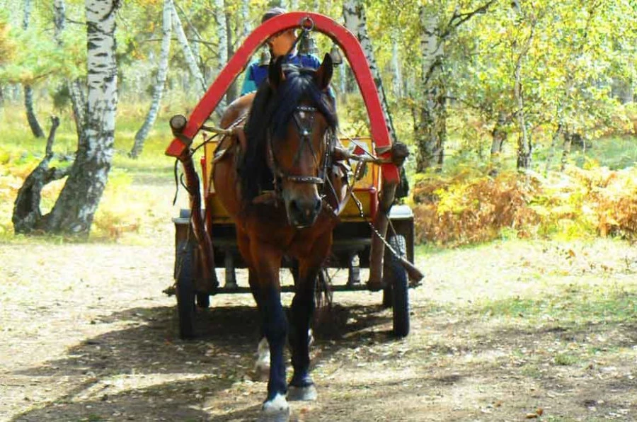 Приключенческий экотур.