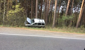 Авто слетело с дороги в Ленточном бору.