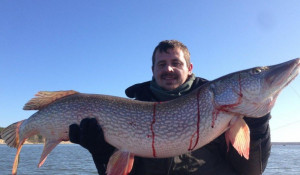 Рыбак из Новосибирска поймал огромную щуку. 