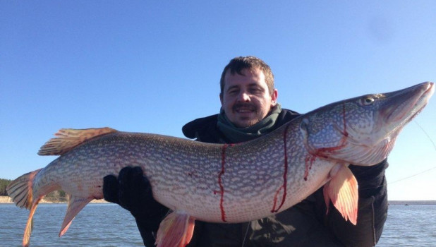 Рыбак из Новосибирска поймал огромную щуку. 