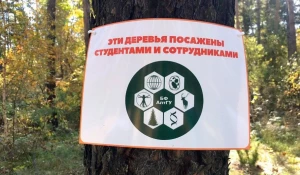 Студенты-биологи АлтГУ приняли участие в посадке молодых деревьев.