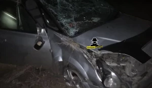 ДТП на алтайской трассе 11 октября.