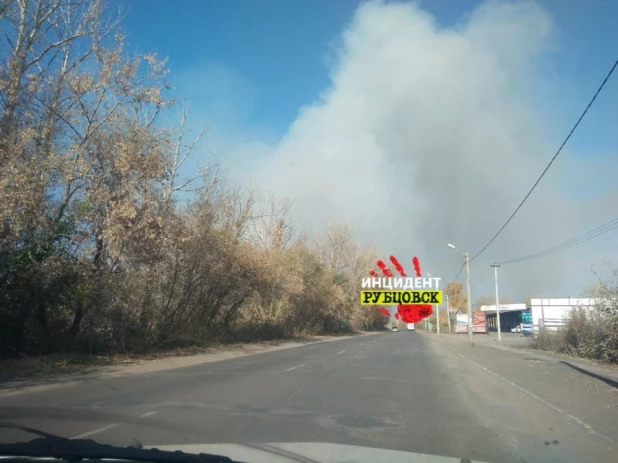 В Рубцовске горят поля.