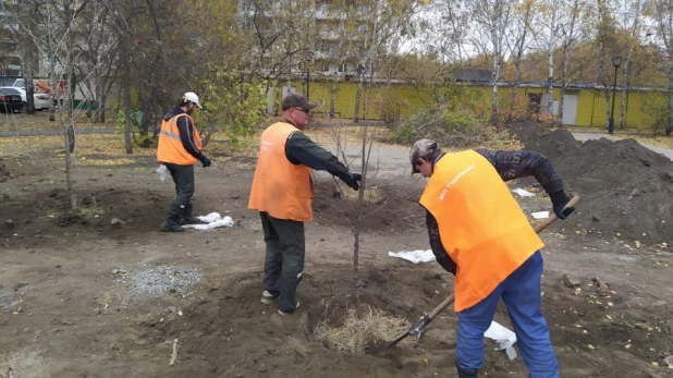 Высадка тополей и елей в сквере на улице Панфиловцев.