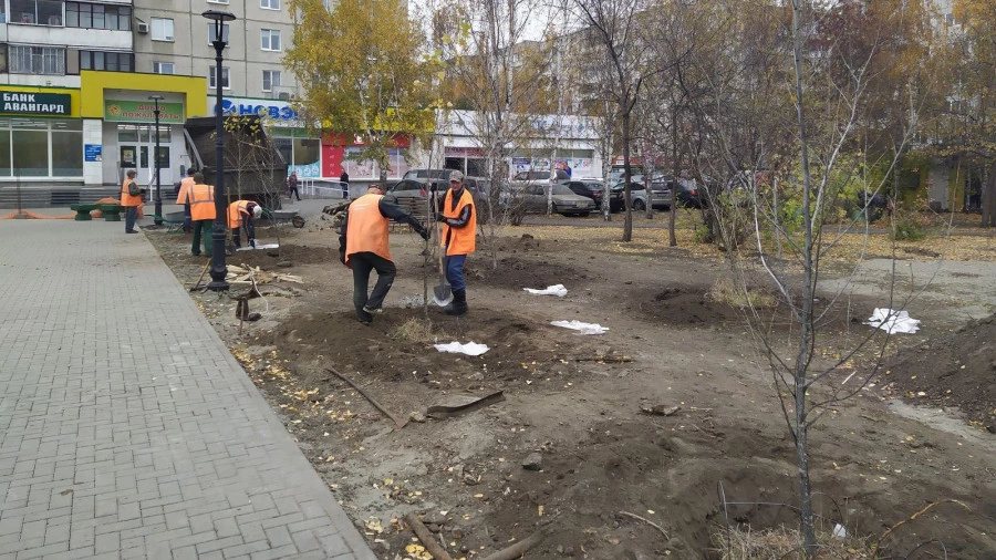 Высадка тополей и елей в сквере на улице Панфиловцев.