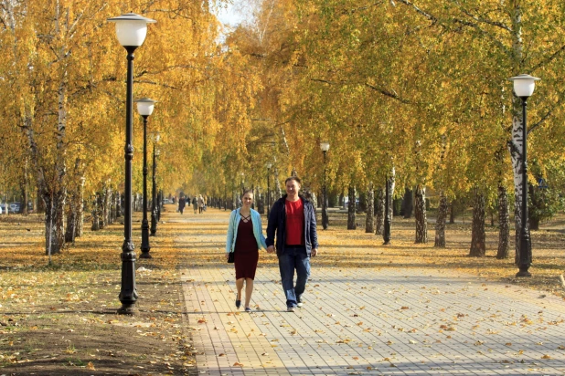 Золотая осень в Барнауле. 