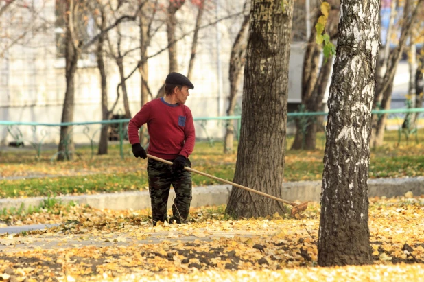 Золотая осень в Барнауле. 