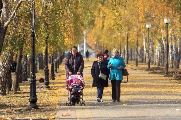 Золотая осень в Барнауле. 