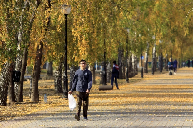 Золотая осень в Барнауле. 