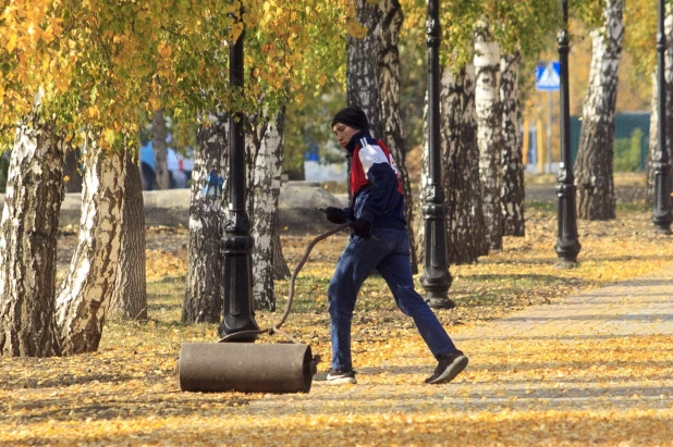 Золотая осень в Барнауле. 