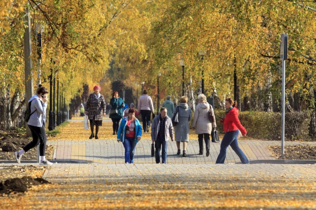 Золотая осень в Барнауле. 