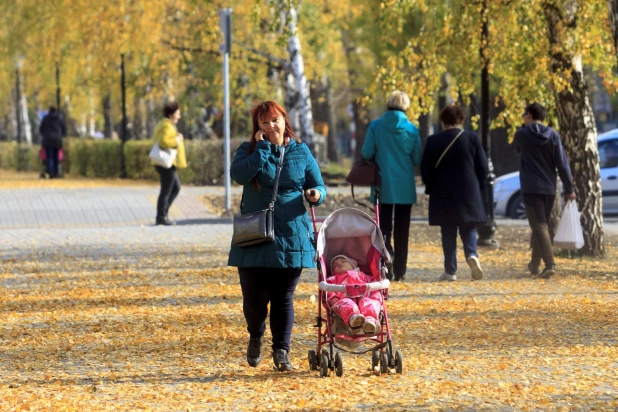 Золотая осень в Барнауле. 