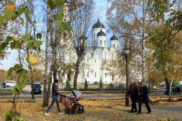 Золотая осень в Барнауле. 