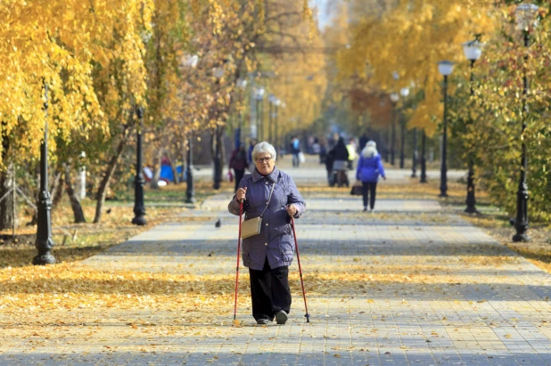 Золотая осень в Барнауле. 