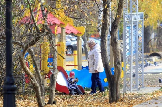 Золотая осень в Барнауле. 