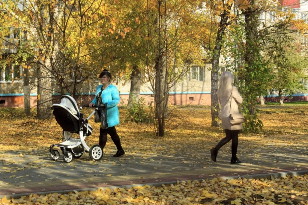 Золотая осень в Барнауле. 