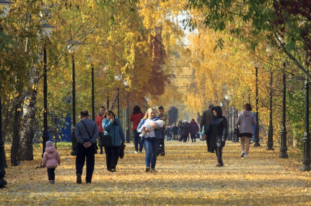 Золотая осень в Барнауле. 