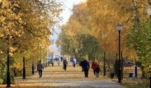 Золотая осень в Барнауле. 