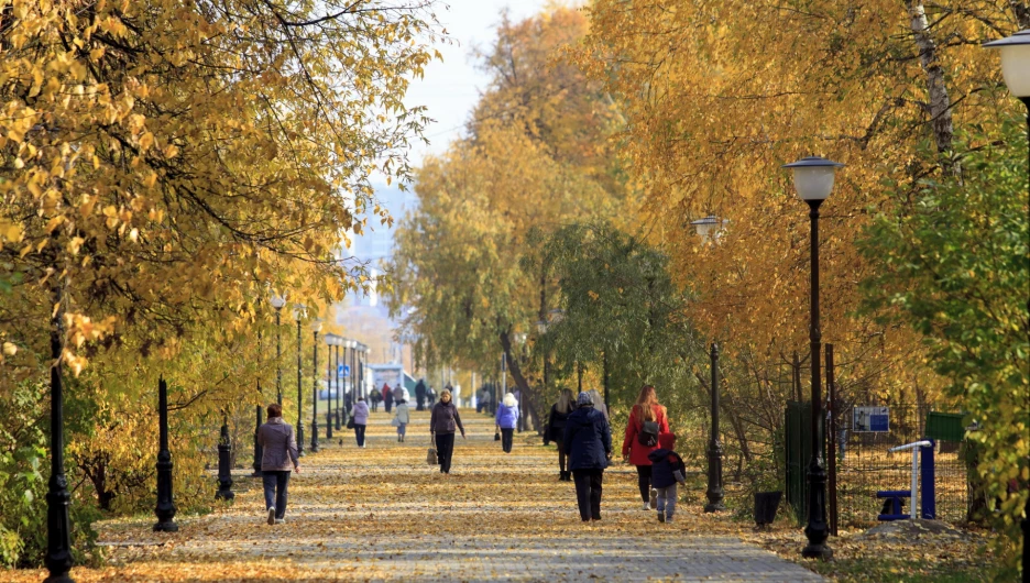 Золотая осень в Барнауле. 