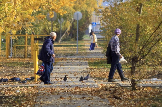 Золотая осень в Барнауле. 