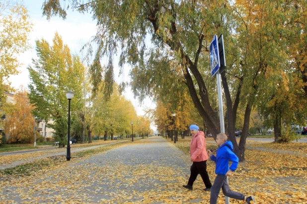 Золотая осень в Барнауле. 