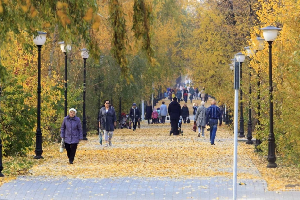 Золотая осень в Барнауле. 