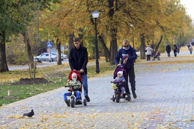 Золотая осень в Барнауле. 