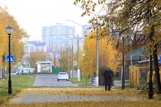 Золотая осень в Барнауле. 