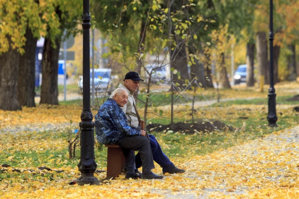 Золотая осень в Барнауле. 