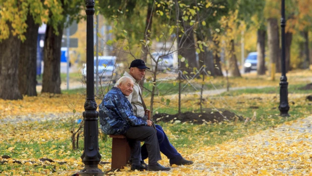 Золотая осень в Барнауле. 