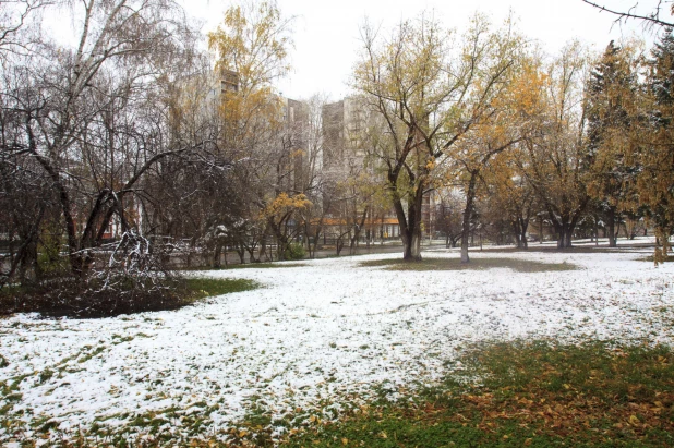 Первый снег в Барнауле. 