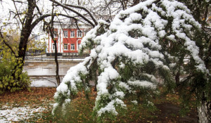Первый снег в Барнауле. 