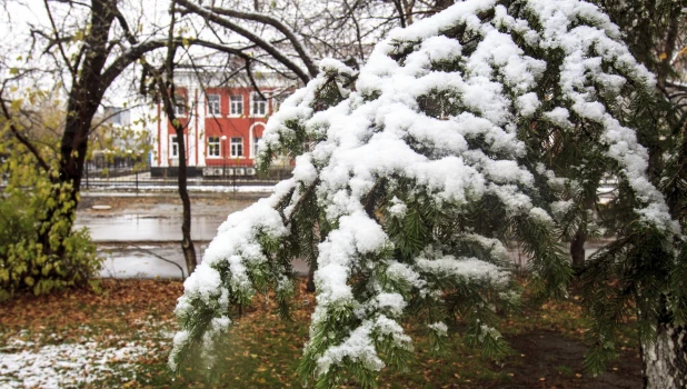 Первый снег в Барнауле. 