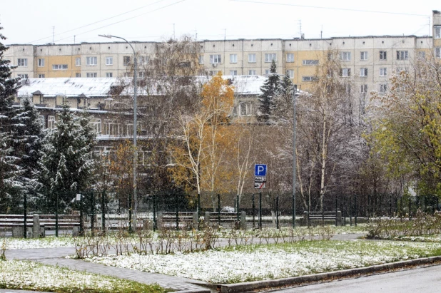 Первый снег в Барнауле. 