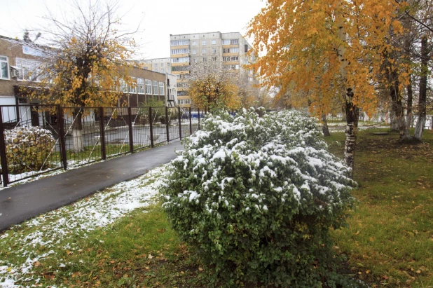 Первый снег в Барнауле. 