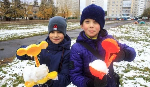 Первый снег в Барнауле. 