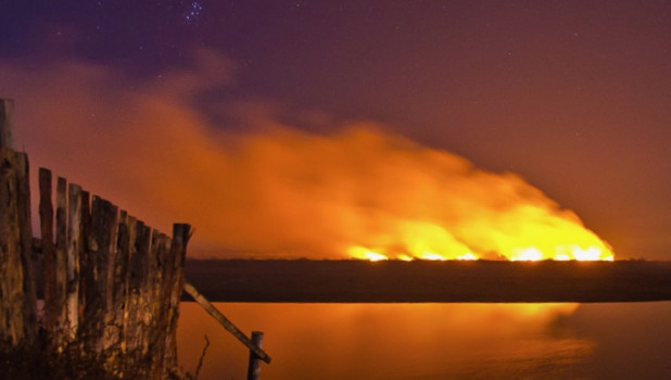 Пожар на острове в районе Камня-на-Оби.