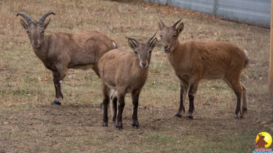 Дагестанские туры.