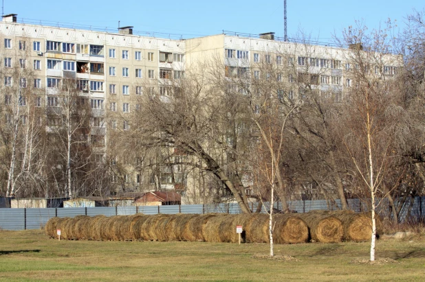 В Барнаульском зоопарке.