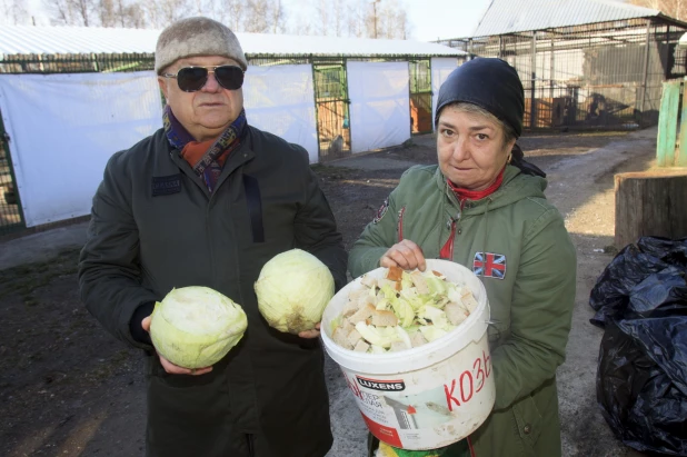 В Барнаульском зоопарке.