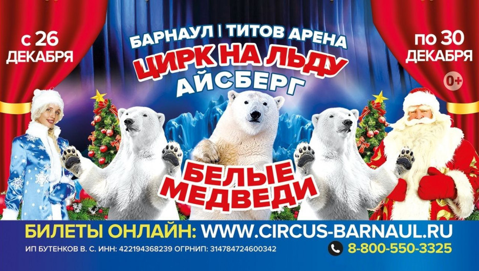 Масштабное современное шоу «Цирк на льду Айсберг. Белые Медведи».