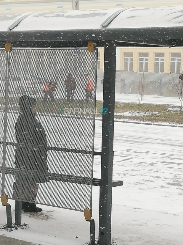 В Барнауле высаживают деревья в замерзшую землю.